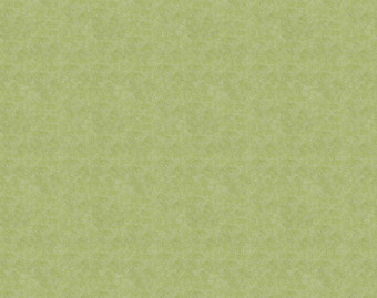 [1001111157_36] Flotex Colour у рулоні - s290014 Calgary lime